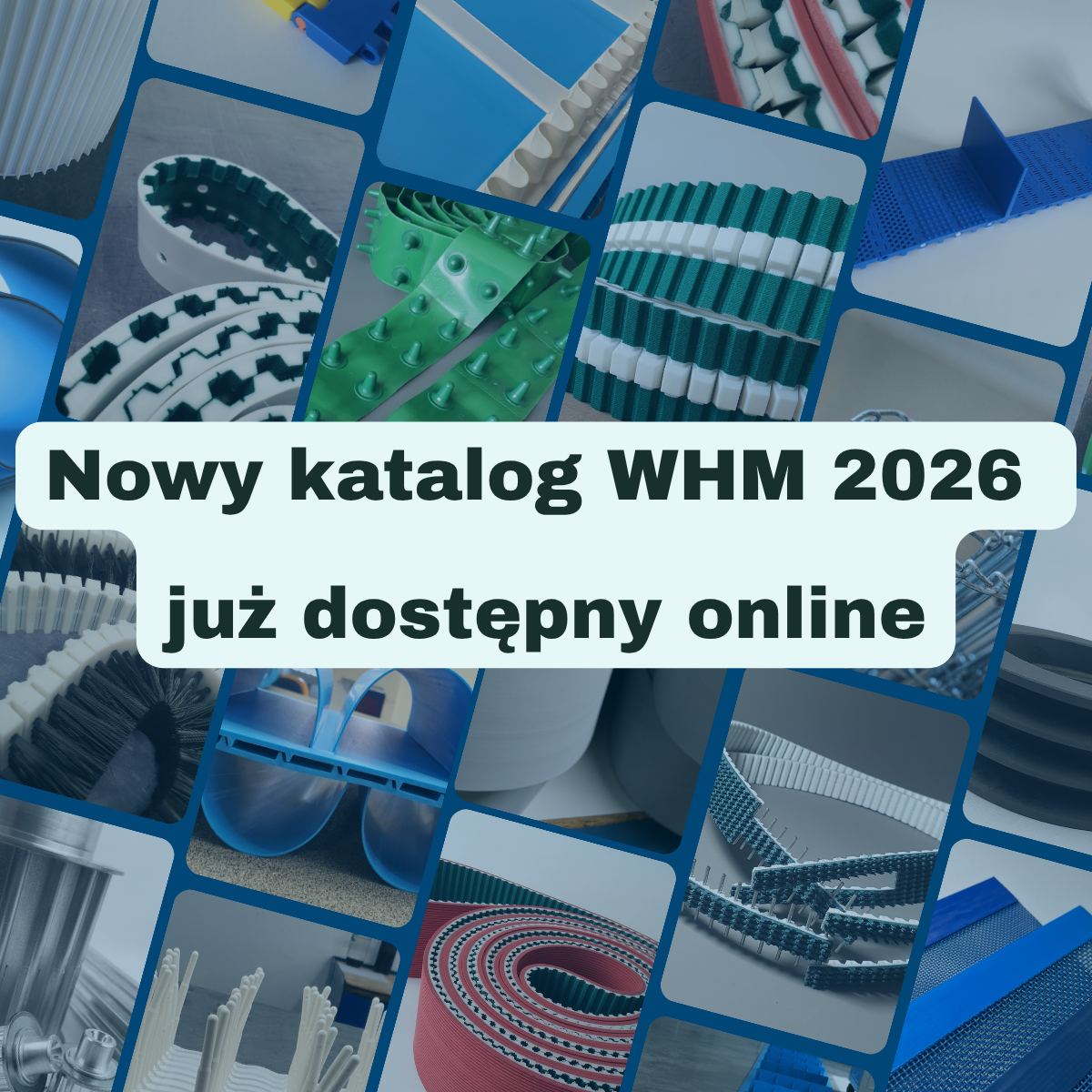 Nowy katalog WHM 2026 Grafika informująca o nowym katalogu WHM 2026 dostępnym online